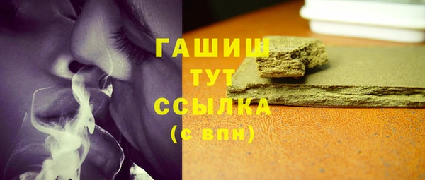 шишки Горняк