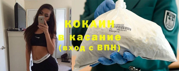 шишки Горняк