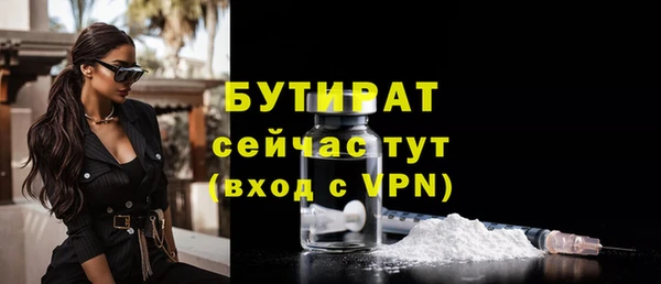 шишки Горняк