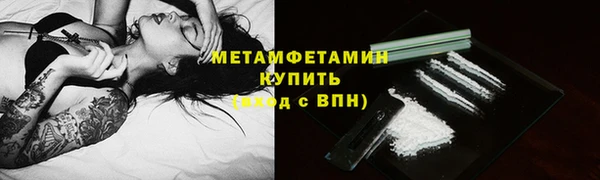 шишки Горняк