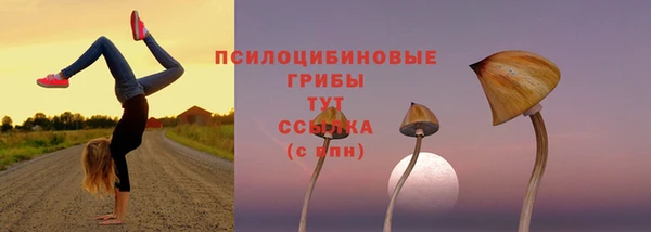шишки Горняк