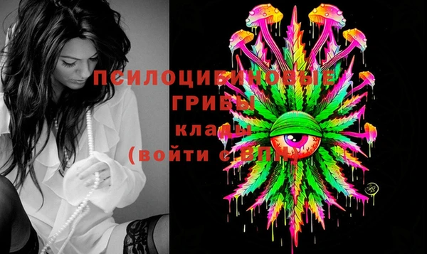 эйфоретик Горнозаводск