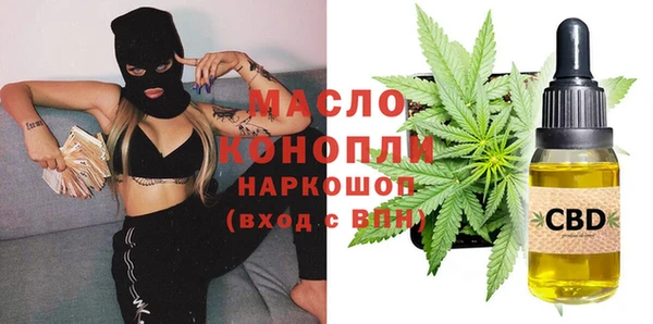 шишки Горняк