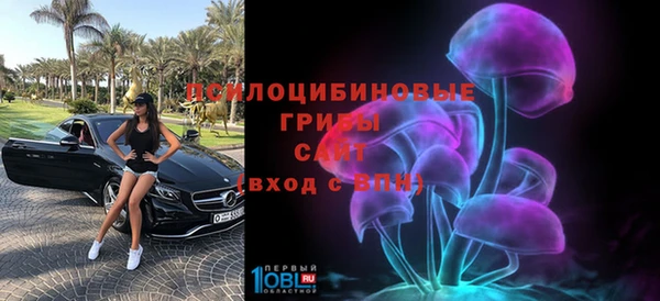 эйфоретик Горнозаводск