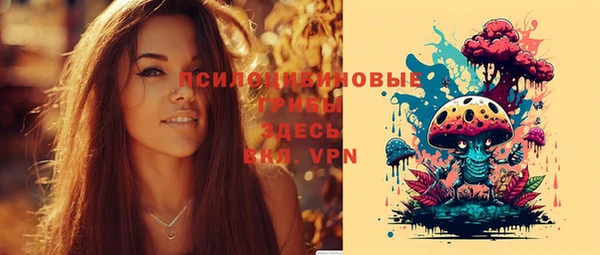 бутират Туринск