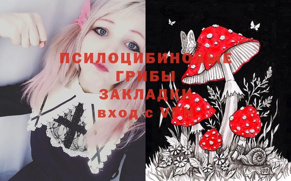 шишки Горняк
