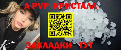 прущие грибы Азнакаево