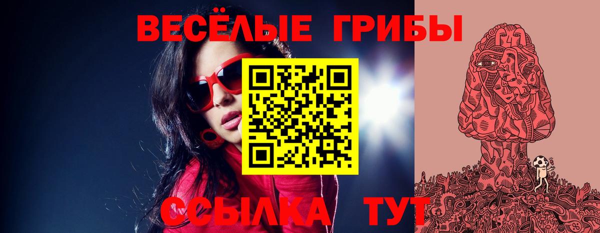 Псилоцибиновые грибы GOLDEN TEACHER  Вход с VPN  Минеральные Воды  Псилоцибиновые грибы GOLDEN TEACHER 